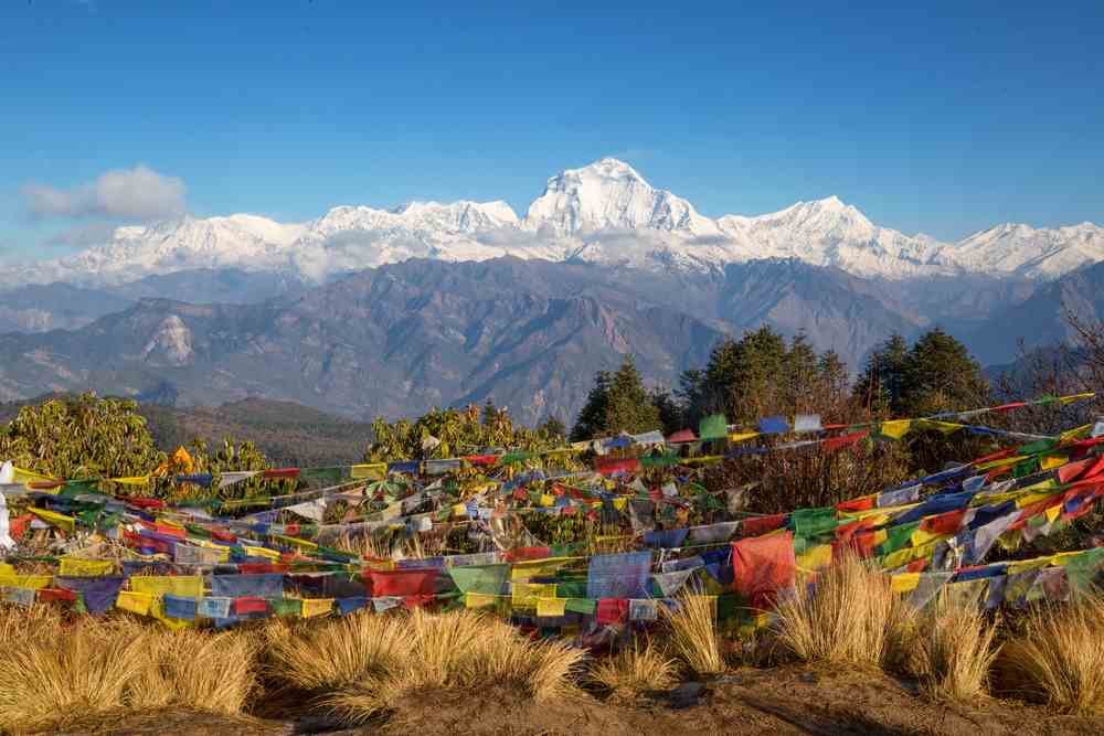 Ghorepani Poon Hill Trek: Best Short Treks in Nepal