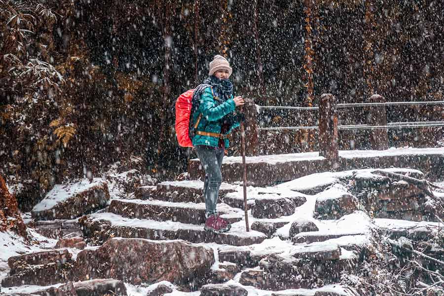 Female Travelers Trekking to Langtang Valley