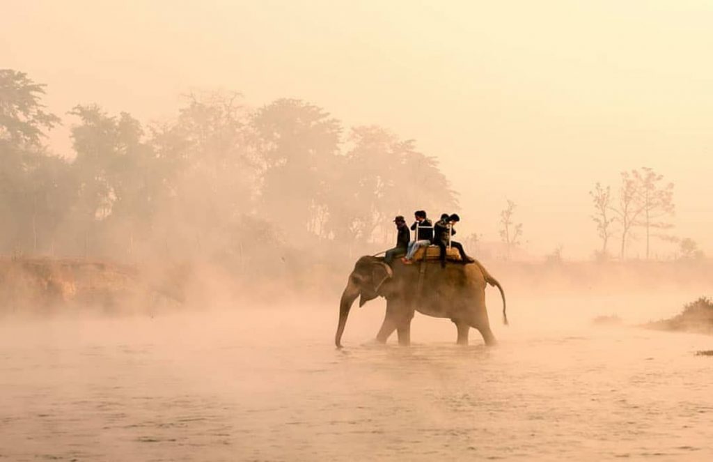 Elephant Ride in Chitwan National Park