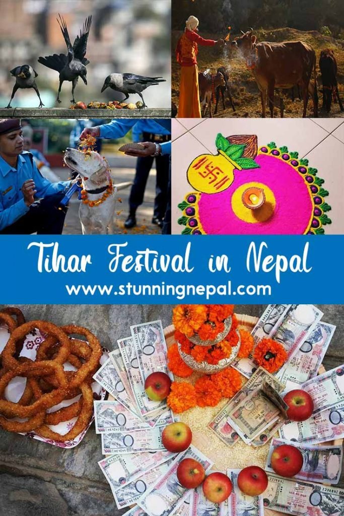 Tihar Festival in Nepal Pinterest