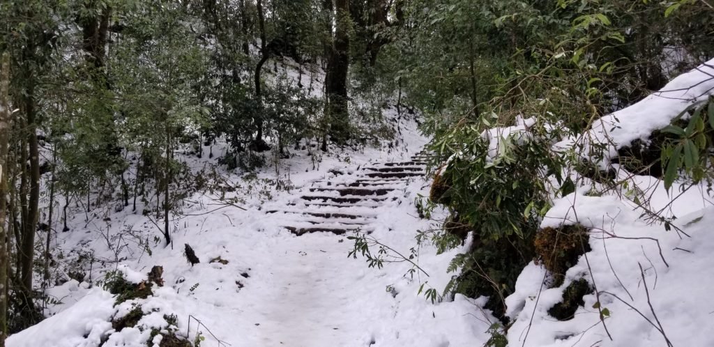 Snowfall at Shivapuri National Park
