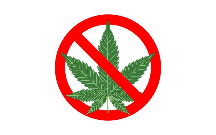 No Cannabis/No Weed