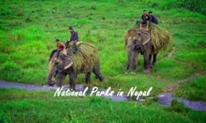 12 National Parks in Nepal