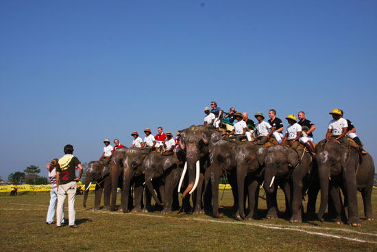 Elephant Polo