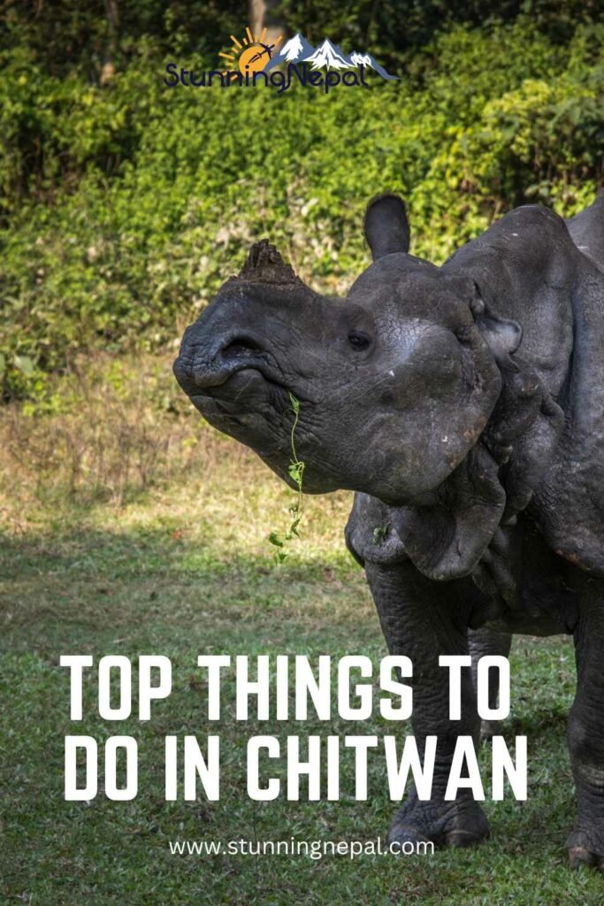Things to do in Chitwan Pinterest