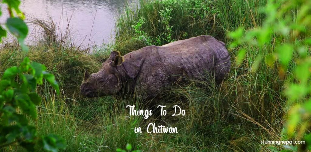 21 Things To Do in Chitwan, Nepal 1